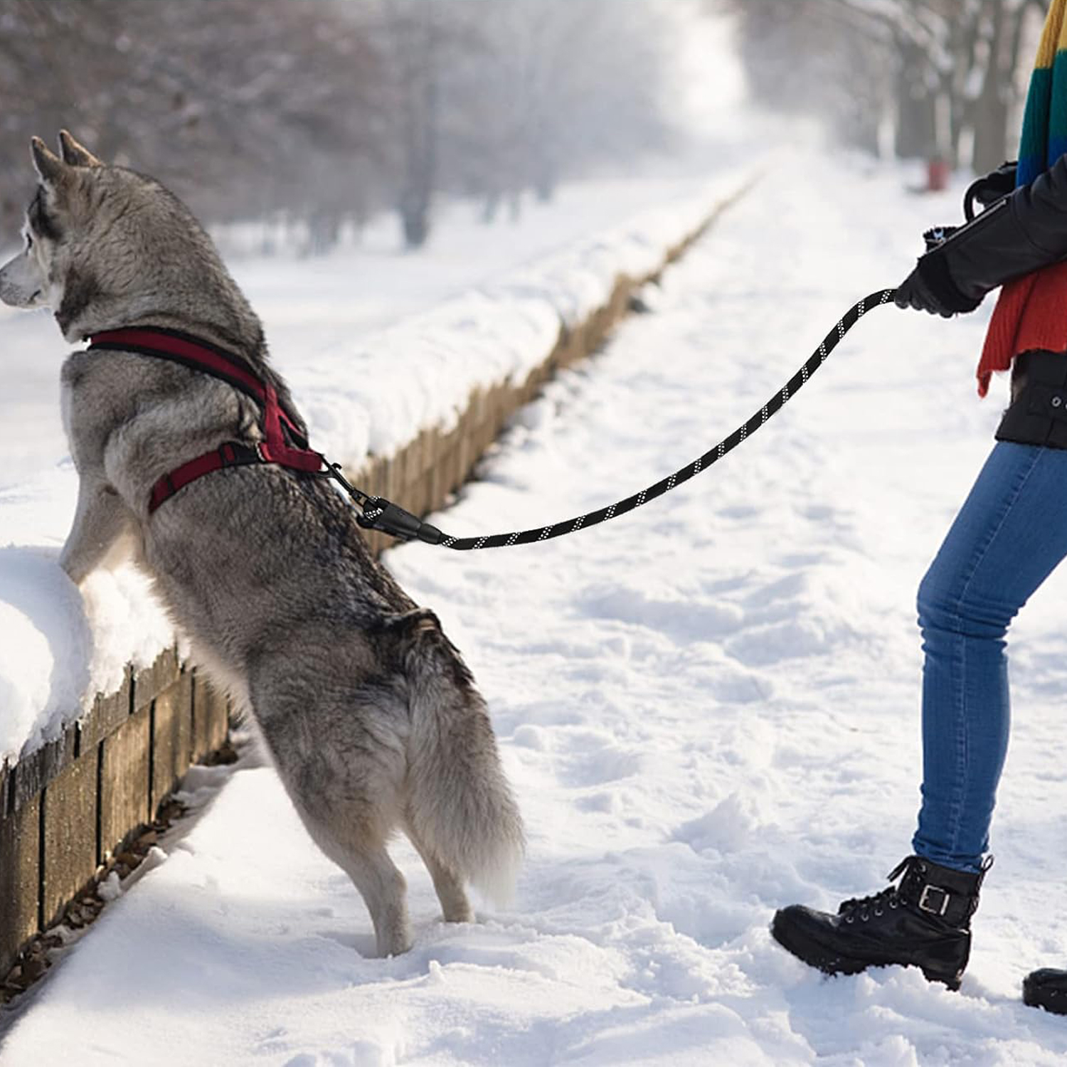 Güçlü%20Halat%20Köpek%20Tasma%20Pet%20Tasmalar%20Yansıtıcı%20Büyük%20Küçük%20Orta%20Büyük%20Köpek%20Tasma