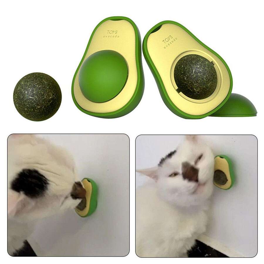 Avokado%20Catnip%20Kedi%20Nanesi%20Yalama%20Kedi%20Oyuncağı