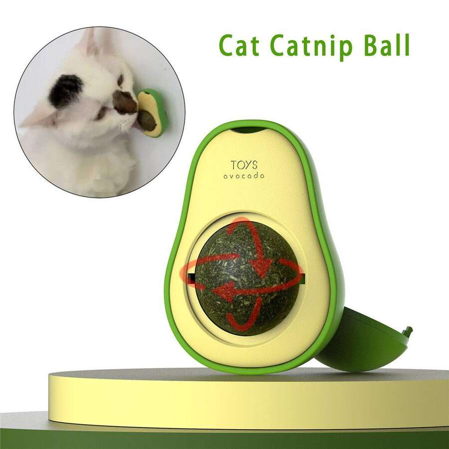 Avokado%20Catnip%20Kedi%20Nanesi%20Yalama%20Kedi%20Oyuncağı